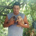  ,   , 46 ,   ,   , c , 