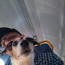 ���������� �����������, ���� ������� Mike, 33 ����, ������������ ��� ������, ����� � ���������, ���������