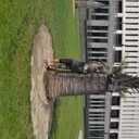 ���������� �������, ���� ������� �������, 43 ����, ������������ ��� ������, ����� � ���������