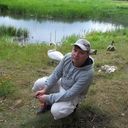 ���������� �����, ���� ������� ����, 50 ���, ������������ ��� ����� � ���������, c�������� ���������