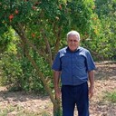  ,   Akif, 65 ,   ,   , c 