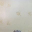  ,   89233185737, 31 ,  
