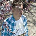 ���������� �����������, ���� ������� �������, 33 ����, ������������ ��� ������, ����� � ���������