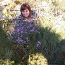  ,   , 55 ,     , c 