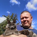 ���������� ���������, ���� ������� ������, 46 ���, ������������ ��� c�������� ���������