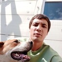 ���������� ������, ���� ������� �����, 33 ����, ������������ ��� ������, ����� � ���������