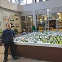 ���������� ����������, ���� ������� ���������, 44 ����, ������������ ��� c�������� ���������