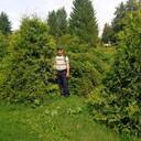 ���������� ������, ���� ������� �������, 41 ���, ������������ ��� ������, ����� � ���������