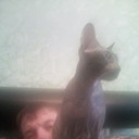  ,   , 36 ,   ,   , c 
