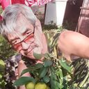 ���������� ��������, ���� ������� ������, 65 ���, ������������ ��� ������, ����� � ���������, c�������� ���������