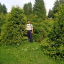 ���������� ����������, ���� ������� �������, 41 ���, ������������ ��� ������, ����� � ���������, c�������� ���������