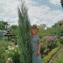  ,   Valentina, 68 ,   ,   