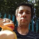 ���������� ���, ���� ������� ��������, 44 ����, ������������ ��� ������, ����� � ���������, c�������� ���������, ���������