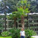 ���������� ������, ���� ������� ������, 36 ���, ������������ ��� ������, ����� � ���������, c�������� ���������, ���������