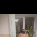 ���������� ������, ���� ������� ������, 36 ���, ������������ ��� ������, ����� � ���������