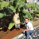 ���������� ����������, ���� ������� ���������, 38 ���, ������������ ��� ������, ����� � ���������, c�������� ���������