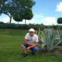  ,   , 51 ,   