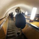 ���������� ������, ���� ������� ����, 27 ���, ������������ ��� ������, ����� � ���������, ���������