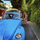 ���������� �����, ���� ������� Aziz, 31 ���, ������������ ��� ������, ����� � ���������