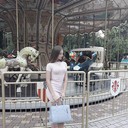  ,   , 28 ,   ,   , c 