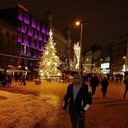 ���������� ����, ���� ������� ���, 38 ���, ������������ ��� ������, ����� � ���������, ���������