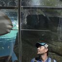 ���������� ������ ��������, ���� ������� ��������, 38 ���, ������������ ��� ������, ����� � ���������