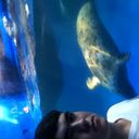  ,   KABAN_0007, 34 ,   ,   , c , 