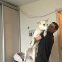 ���������� ��������, ���� ������� �����, 35 ���, ������������ ��� ������, ����� � ���������