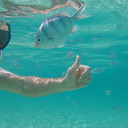 ���������� ����, ���� ������� �������, 42 ����, ������������ ��� ������, ����� � ���������, c�������� ���������