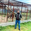 ���������� �����������, ���� ������� ������, 31 ���, ������������ ��� ������, ����� � ���������, c�������� ���������, ���������