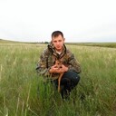 ���������� ���������, ���� ������� �������, 29 ���, ������������ ��� ����� � ���������, c�������� ���������