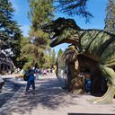 ���������� ������, ���� ������� ������, 45 ���, ������������ ��� ����� � ���������, c�������� ���������