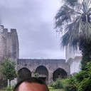 ���������� ����, ���� ������� �������, 44 ����, ������������ ��� ������, ����� � ���������, c�������� ���������