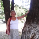  ,   , 65 ,     , c 