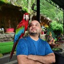 ���������� ������, ���� ������� Robin, 26 ���, ������������ ��� ������, ����� � ���������, c�������� ���������, ���������