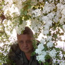  ,   Solomon, 55 ,   ,   , c 