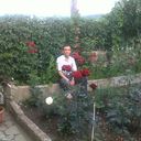  ,   , 46 ,   ,   , c , 
