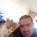 ���������� ����������, ���� ������� �������, 44 ����, ������������ ��� ������, ����� � ���������, c�������� ���������, ���������