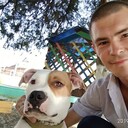 ���������� ���������, ���� ������� �����, 37 ���, ������������ ��� ������, ����� � ���������, c�������� ���������