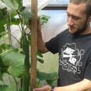 ���������� ����, ���� ������� ����, 32 ����, ������������ ��� ������, ����� � ���������, c�������� ���������, ���������