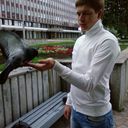  ,   , 38 ,   ,   , c 