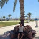  -,   , 28 ,   ,   , c 