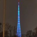 ���������� �����, ���� ������� ������, 41 ���, ������������ ��� ���������