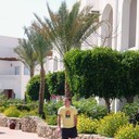 ���������� ������, ���� ������� �������, 44 ����, ������������ ��� ������, ����� � ���������, c�������� ���������