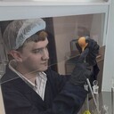 ���������� ������, ���� ����� ����, 21 ���, ������������ ��� ������, ����� � ���������, c�������� ���������, ���������