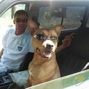 ���������� �����������, ���� ������� ������, 57 ���, ������������ ��� ������, ����� � ���������, c�������� ���������