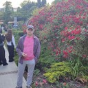  ,   , 61 ,   ,   