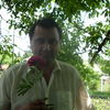  ,   Mihail, 45 ,     , c 