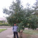 ���������� ���������, ���� ������� ���, 40 ���, ������������ ��� ������, ����� � ���������, c�������� ���������