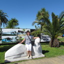 ���������� �������, ���� ������� �������, 46 ���, ������������ ��� ����� � ���������, c�������� ���������